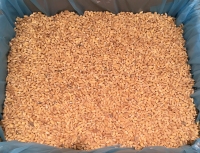 Organic barley, whole barley